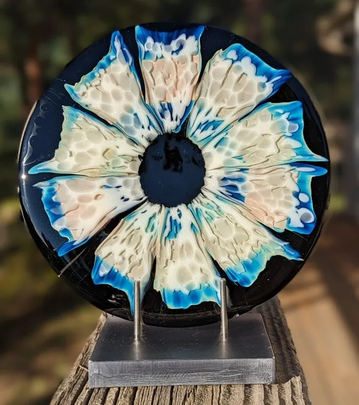 Round fused glass plate with a blue and cream flower burst on black